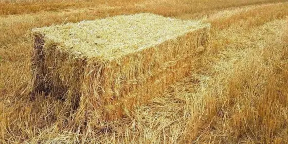 Stroh in Quaderballen ansehen