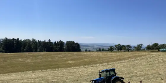 Heu in Kleinballen ansehen