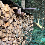 Forst und Holz